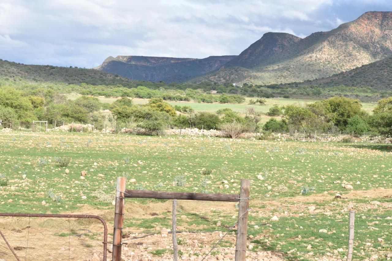 Baviaanskloof Guest Cottages Studtis Exterior photo